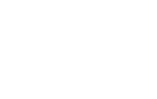 Fashion Azafatas